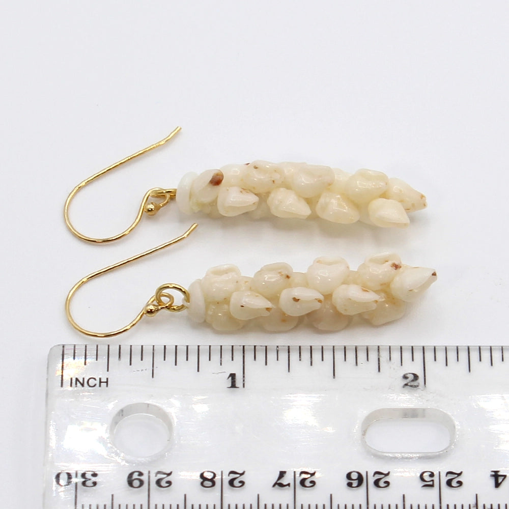 Ni’ihau Shell Pikake Momi Earrings