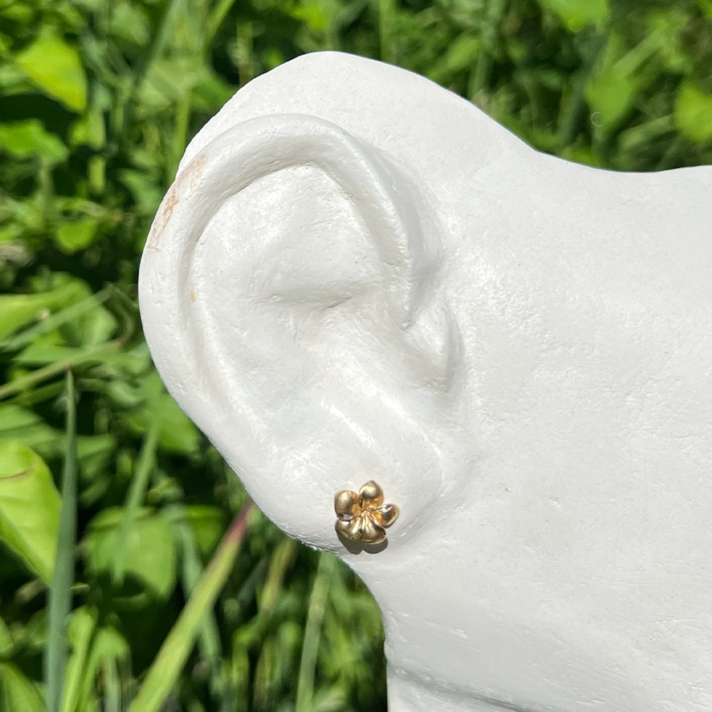 14K Yellow Gold Plumeria Stud Earrings