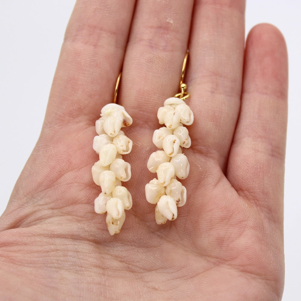 Ni’ihau Shell Pikake Momi Earrings
